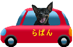 -らぱんcar