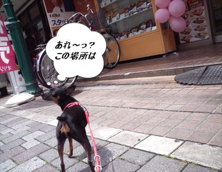 ここは?