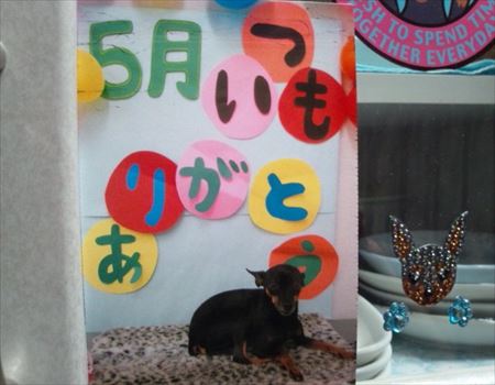 5月のラパン