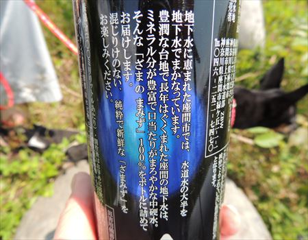 DSCN4035_R.jpg