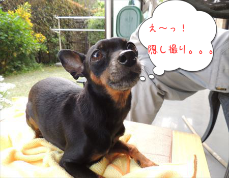 ESdCwqgjXB2dTOb1368930915_1368931204.png
