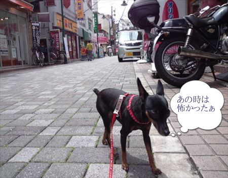 mtGvGN9dHPpp3ky1369126810_1369127138.png