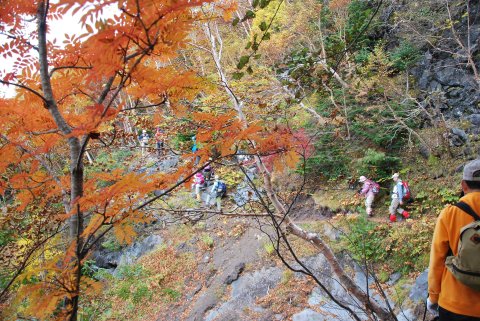 帰り道の沢