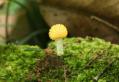 s-IMG_2906b.jpg