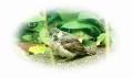 s-IMG_2948b.jpg
