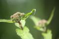 s-IMG_3094.jpg