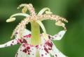 s-IMG_3556a.jpg