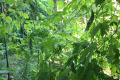 s-IMG_3671.jpg