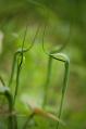 s-IMG_6341.jpg
