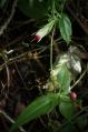 s-IMG_6407.jpg