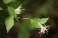 s-IMG_6767.jpg