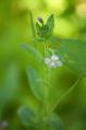 s-IMG_7977.jpg