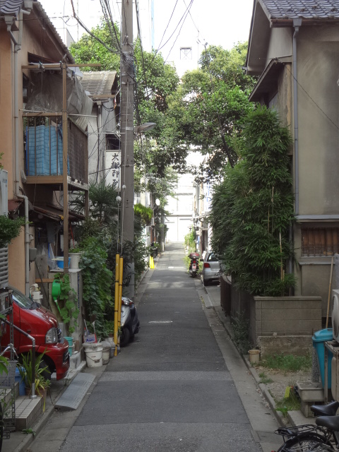 DSC00088.jpg