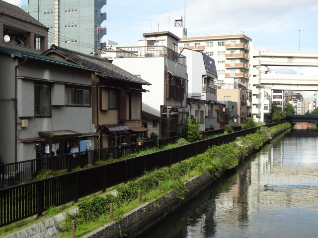 DSC00091.jpg