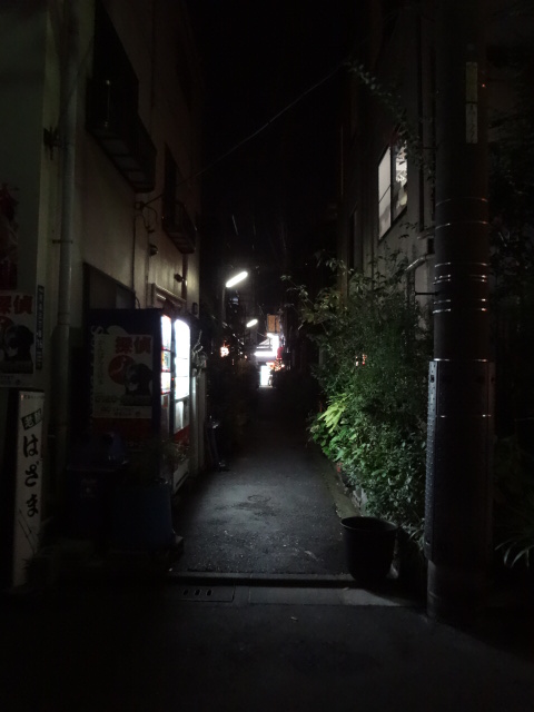 DSC00117.jpg