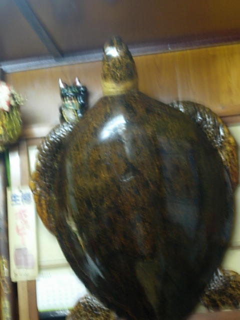 DSCN4331.jpg