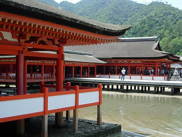 DSCN4504.jpg
