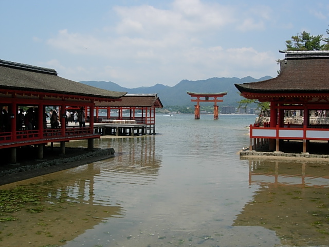DSCN4506.jpg