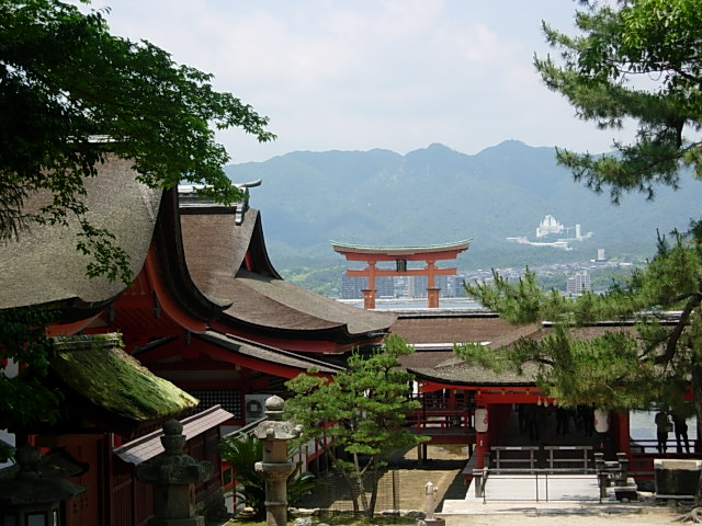 DSCN4508.jpg