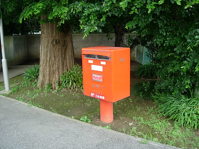 DSCN4561.jpg