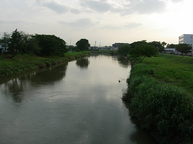 DSCN4569.jpg
