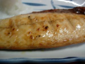 DSCN4608.jpg