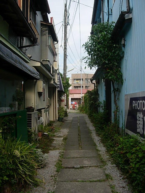 DSCN4780.jpg