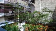 2012081614370000.jpg