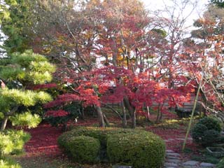 紅葉の旧下田邸庭園