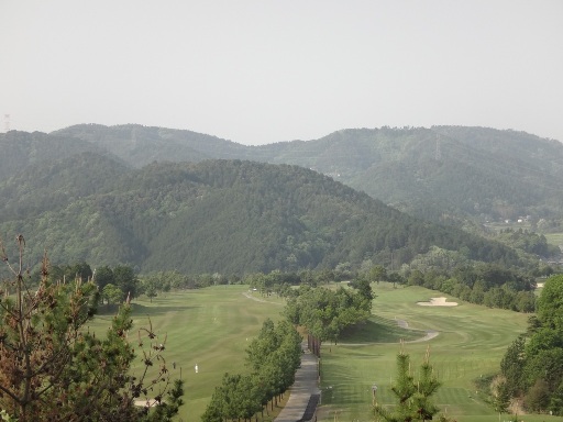 DSC03837.jpg