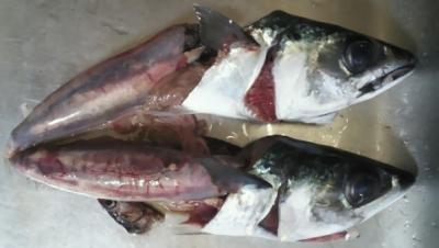 20120529002.jpg