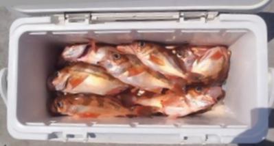 20120807002.jpg