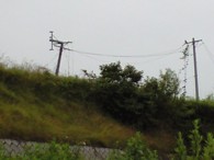 津波で折れた　丘の上の電柱