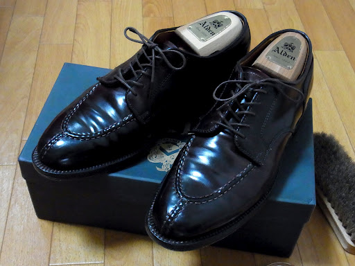 alden2210-op0 (1)