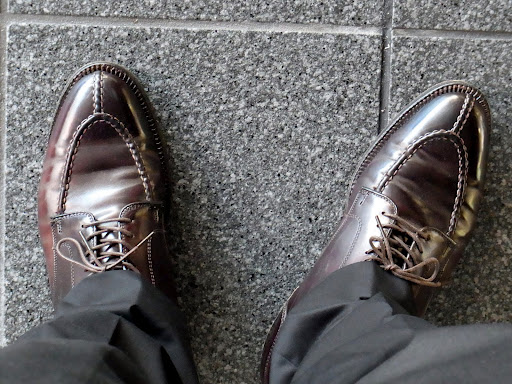 alden2210-pqin (3)