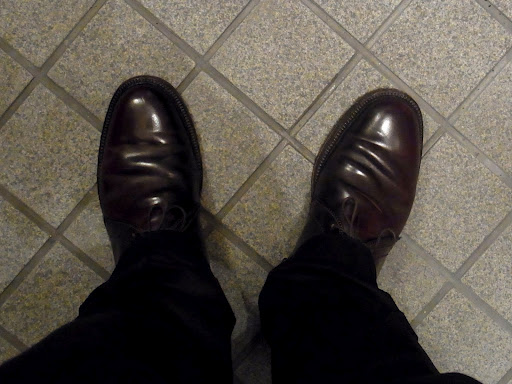 alden1339-qp (1)