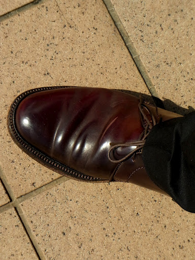 alden1339-hare (2)