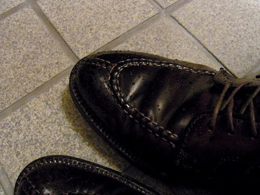 alden2210-nureru (3)