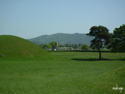 鶏林 奈勿王陵と瞻星台