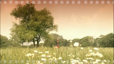 13話 サダハムの木とサダハム