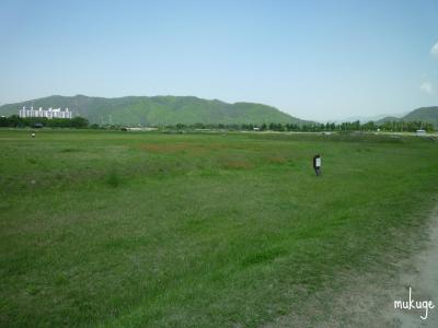 皇龍寺 全景3