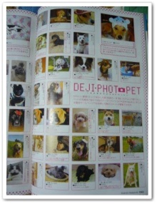 我が家の愛犬日記（トイプードル花梨とミックス犬のしろ）