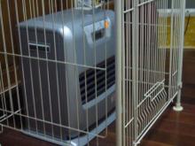 我が家の愛犬日記（トイプードル花梨とミックス犬のしろ）
