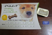 我が家の愛犬日記（トイプードル花梨とミックス犬のしろ）