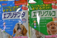 我が家の愛犬日記（トイプードル花梨とミックス犬のしろ）