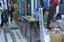 我が家の愛犬日記（トイプードル花梨とミックス犬のしろ）