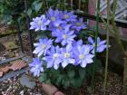DSCN2890.jpg