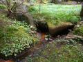 DSCN5118.jpg
