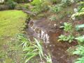 DSCN5120.jpg