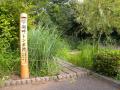 DSCN5127-1.jpg